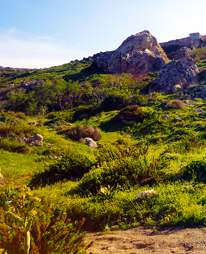 camping in malta countryside